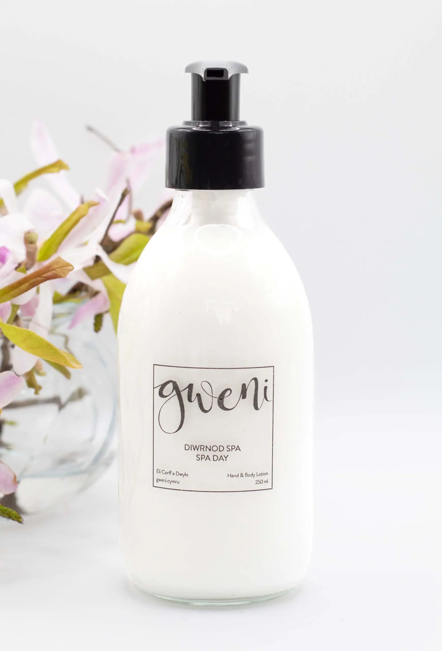 Spa Day Scented Hand & Body Lotion